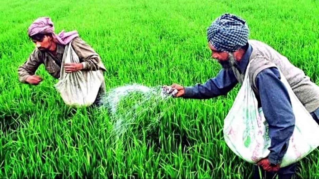 नए साल पर मोदी सरकार का तोहफा, किसानों को सस्ता डीएपी खाद उपलब्ध कराने का निर्णय… प्रधानमंत्री नरेंद्र मोदी की अध्यक्षता में हुई कैबिनेट बैठक में किसानों को लेकर