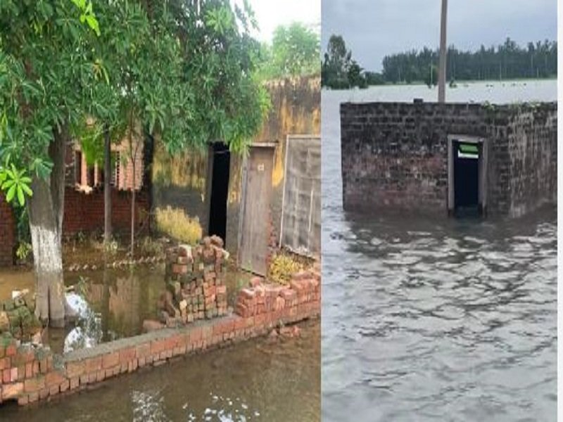 पंजाब बाढ़ : लोगों के फसल, घर व कारोबार हुए बर्बाद