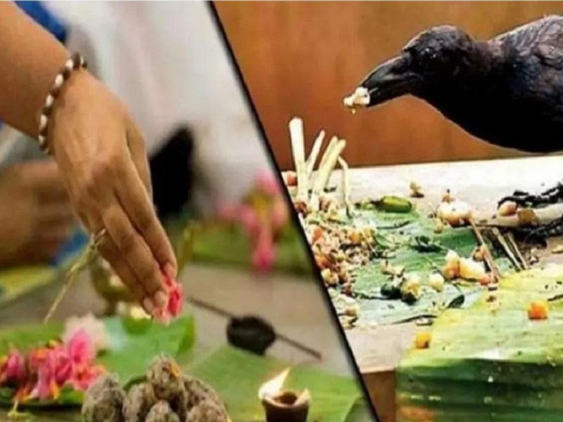 सनातन धर्म में पितृपक्ष का विशेष महत्व