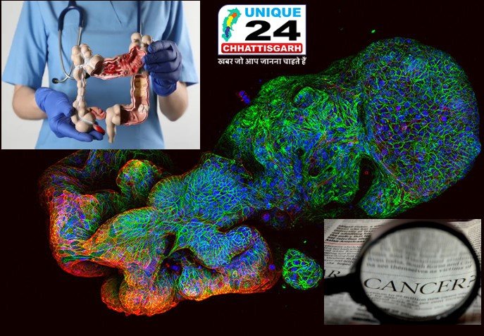 ब्लड कैंसर के इलाज में गेम चेंजर बनेगी ऑस्ट्रेलिया की ये खोज