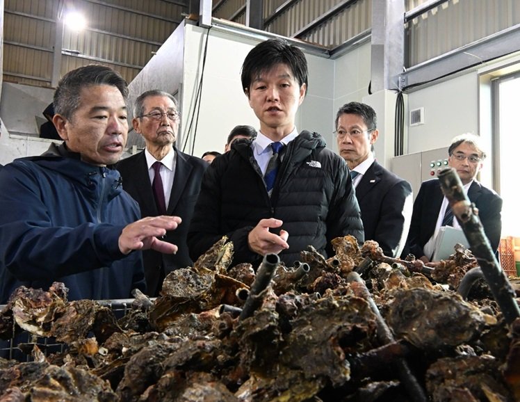 हिरोशिमा के ऑयस्टर किसान संकट में: गर्म समुद्र चौपट कर रहा सब