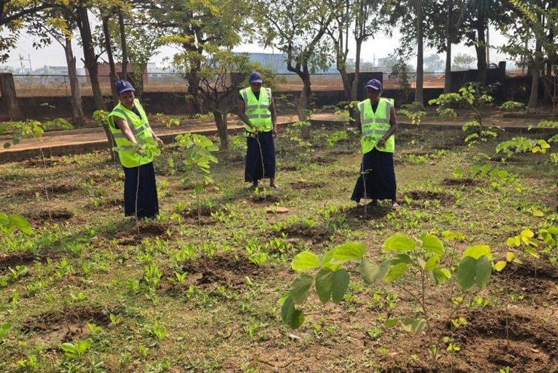 अमृत मिशन के अंतर्गत महिलाओं की भागीदारी से हरियाली और आत्मनिर्भरता