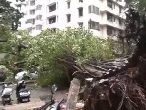 देशभर में बारिश का कहर: हिमाचल में भूस्खलन, उज्जैन में मंदिर जलमग्न